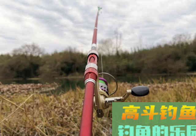冬钓鲫鱼的偷懒玩法,筏竿配上串钩 冬钓鲫鱼的偷懒玩法,筏竿配上串钩