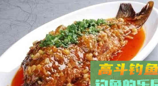 为何野钓鲤鱼,中钩的总是小多大少 为何野钓鲤鱼,中钩的总是小多大少