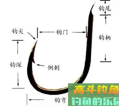 手竿钓鲢鳙：为何伊豆完胜伊势尼