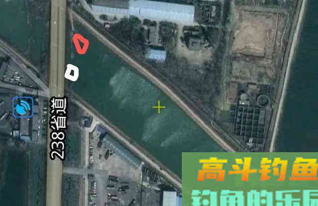 大水面低密度的黑坑如何钓鲤鱼？老钓友给你支2招