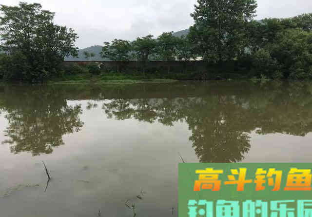 如何春天里寻找黄辣丁？大雨后，守住这些位置有惊喜