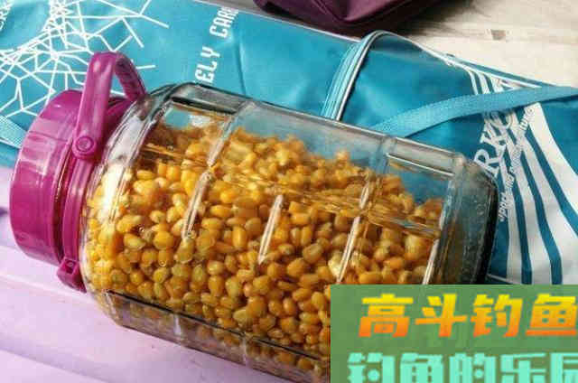立秋后，&ldquo;征服&rdquo;草鱼我就用这钓法