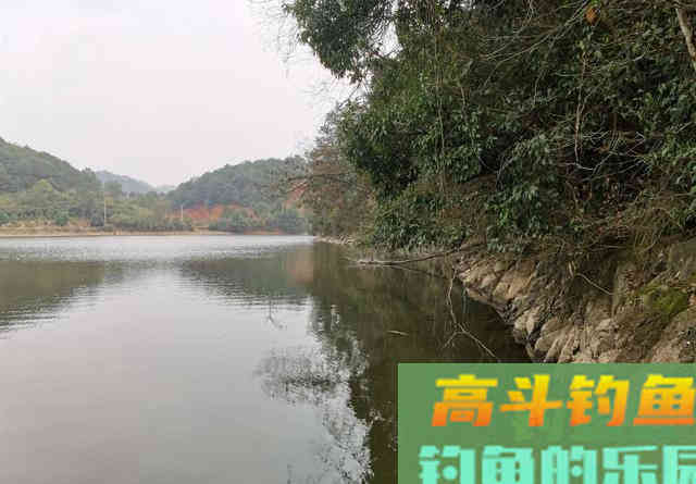 钓草鱼只要找到这种位置,连窝料都省了 钓草鱼只要找到这种位置,连窝料都省了