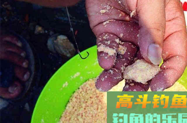 才刚立秋，我就只想用这鲢鳙钓法
