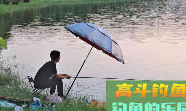 初夏，水库、池塘如何垂钓鲤鱼
