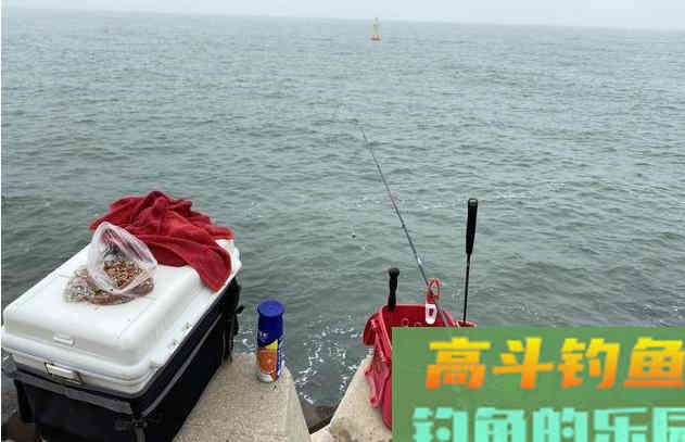 钓远岸鲫鱼，用这种方法，简单高效收获更多