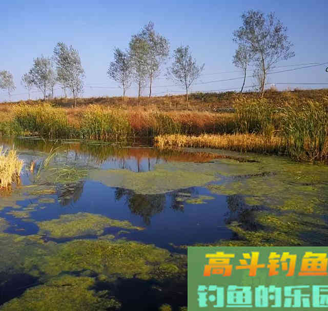 春天如何钓黑鱼，这些钓场要注意