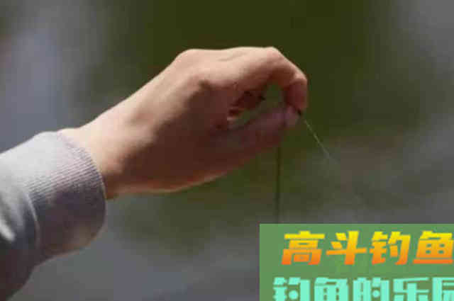 钓草鱼时发现两大特征，立即改钓浮