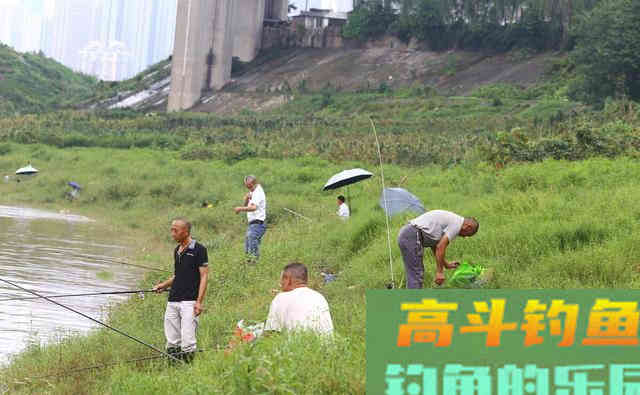 自然水域钓草鱼,记住这三点,选对野钓草鱼的饵料 自然水域钓草鱼,记住这三点,选对野钓草鱼的饵料