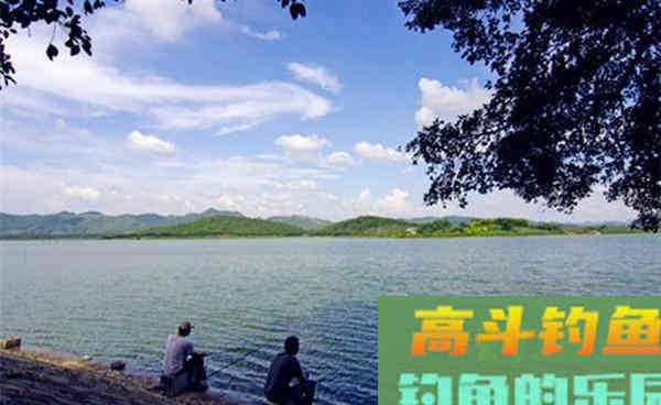秋季野钓大鲤鱼,这些老方法,大鲤鱼连竿 秋季野钓大鲤鱼,这些老方法,大鲤鱼连竿