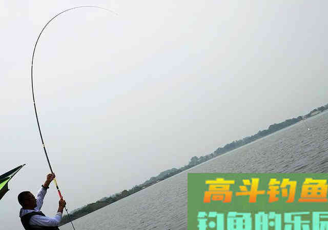 钓到草鱼其实不难，掌握这就够了