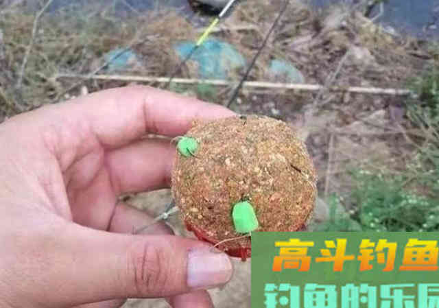 据说这钓法专攻大鲤鱼,每次抛竿入水都有口 据说这钓法专攻大鲤鱼,每次抛竿入水都有口