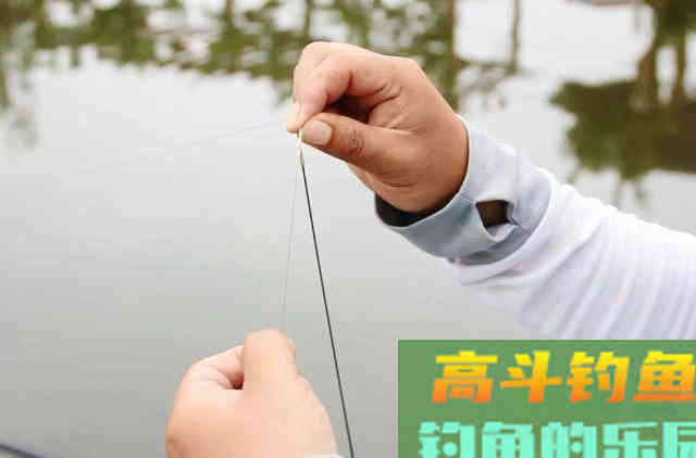 到了八月，我就只想用这鲢鳙钓法