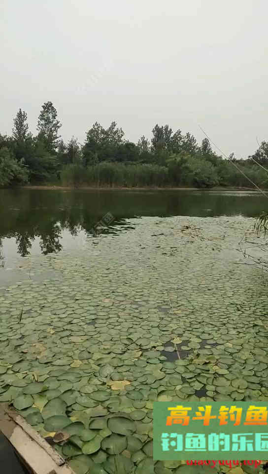早春如何和鲫鱼斗智斗勇，钓早春鲫鱼的技巧都在这