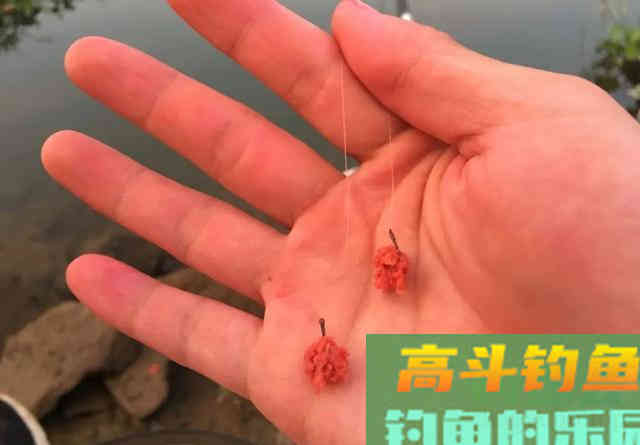 野钓白条技巧：抓住6个重点，你也能变成高手