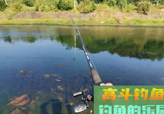 夏季路亚黑鱼难题:只追饵不给口怎么办 夏季路亚黑鱼难题:只追饵不给口怎么办