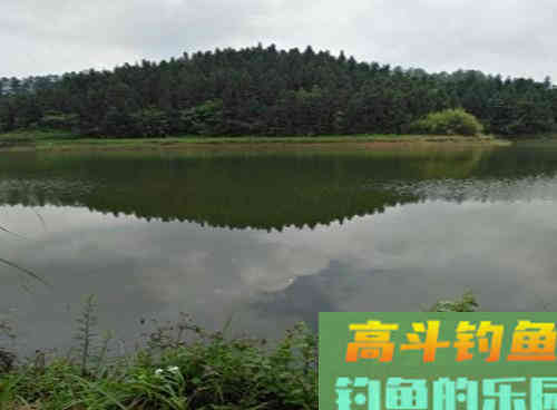 水库常有大青鱼,解析水库野钓青鱼4大技巧 水库常有大青鱼,解析水库野钓青鱼4大技巧