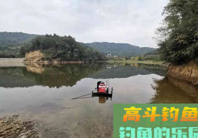 谁说冬季钓鱼必须钓深?这种几十公分的浅滩照样能上大鲫鱼 谁说冬季钓鱼必须钓深?这种几十公分的浅滩照样能上大鲫鱼