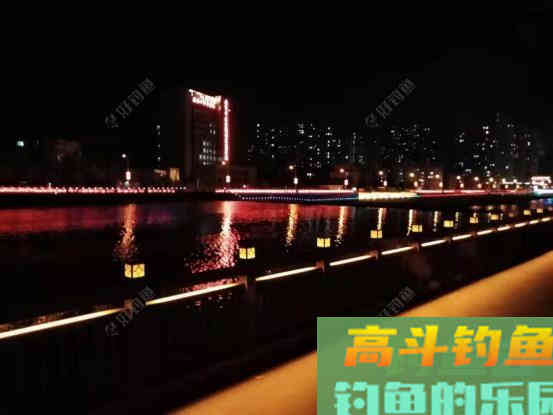 鲫鱼垂钓有妙招，4+4法则实用有效