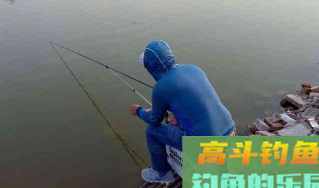 垂钓鲫鱼和鲤鱼，在钓法、钓饵等方面的差异