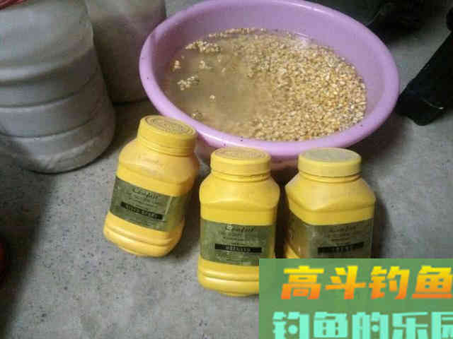 谁说大草鱼难钓?从四个方面探究,分享三种钓法 谁说大草鱼难钓?从四个方面探究,分享三种钓法