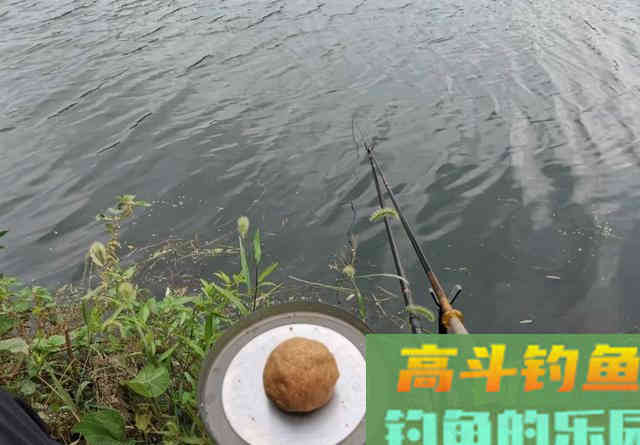 野钓白条技巧：抓住6个重点，你也能变成高手