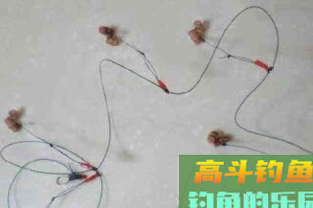 自从发现这鲤鱼钓法，不管在哪都能狂拔