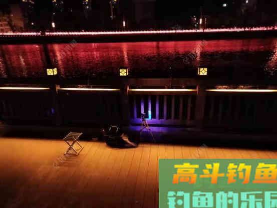 鲫鱼垂钓有妙招，4+4法则实用有效