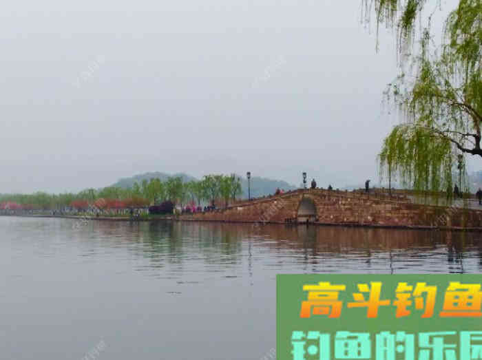 全方位谈钓鳊鱼的见解与体会，助你钓获大鳊鱼