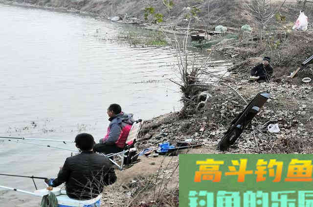 钓不好鲫鱼,是饵料问题? 钓不好鲫鱼,是饵料问题?