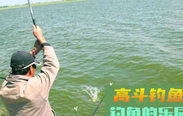 玉米钓草鱼,为何有的人空军,有的人爆护 玉米钓草鱼,为何有的人空军,有的人爆护
