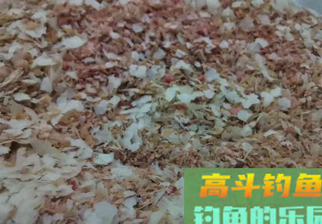 鲫鱼的长相，鲤鱼的胃口，黑坑钓工程鲫
