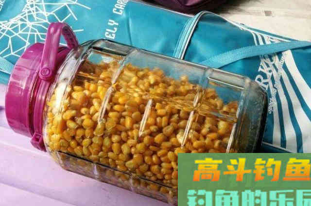大鳊鱼按这么钓，钓了一尾又一尾，不愁上鱼不够快