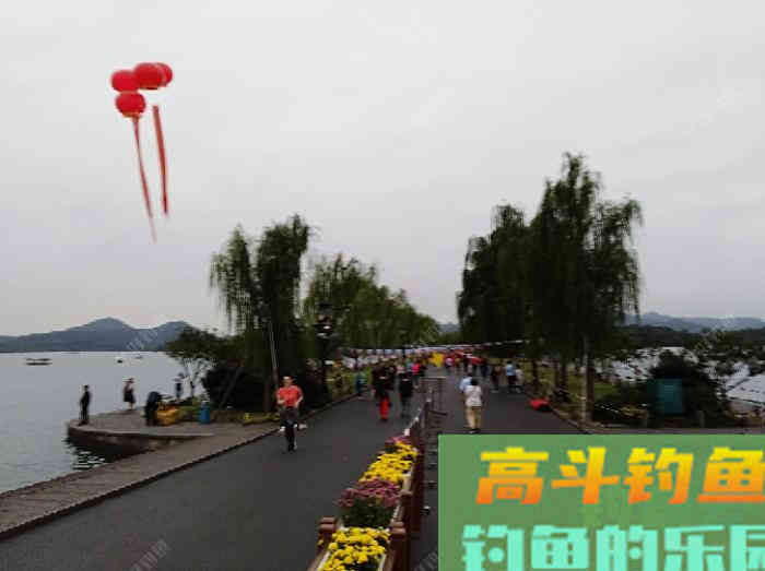 鲫鱼的五个截口表现,与秋季如何钓好大鲫鱼 鲫鱼的五个截口表现,与秋季如何钓好大鲫鱼
