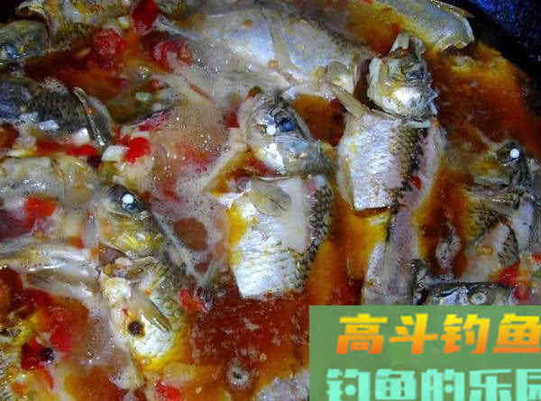 为什么土鲫鱼这么受到钓鱼人的青睐？