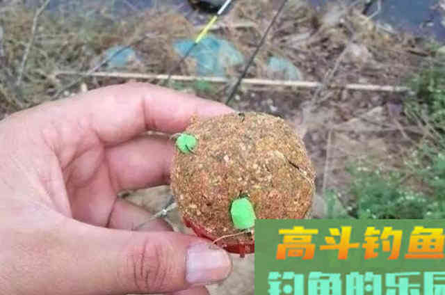 自从我察觉到这钓鲤鱼的钓法，一个鱼护都不够