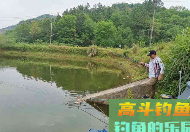 抛竿钓鲢鳙的5个常识性问题