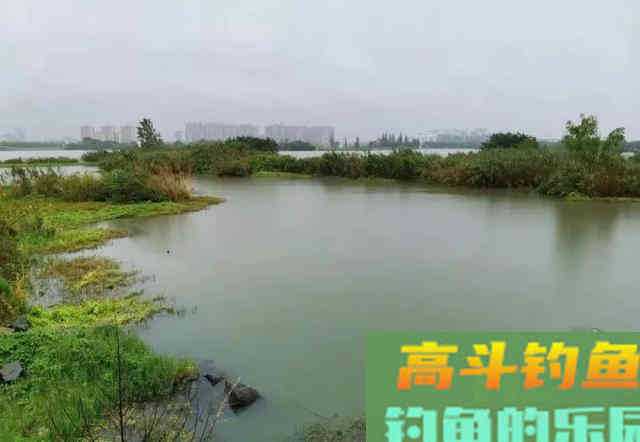 天气越冷钓鱼越要找这种地方，鲫鱼最喜欢躲在其中