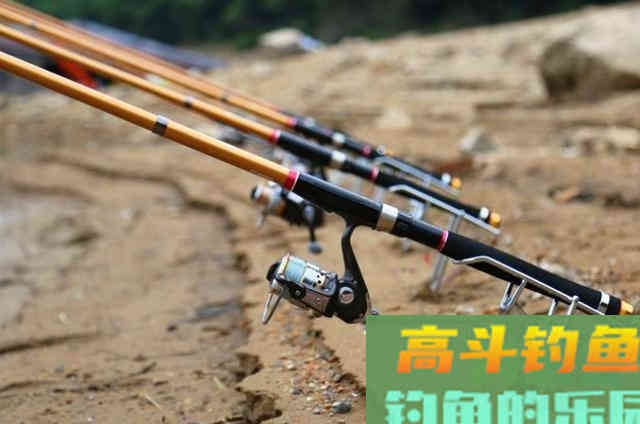 秋天在户外野钓大草鱼时,可以参考的一些特色钓法 秋天在户外野钓大草鱼时,可以参考的一些特色钓法