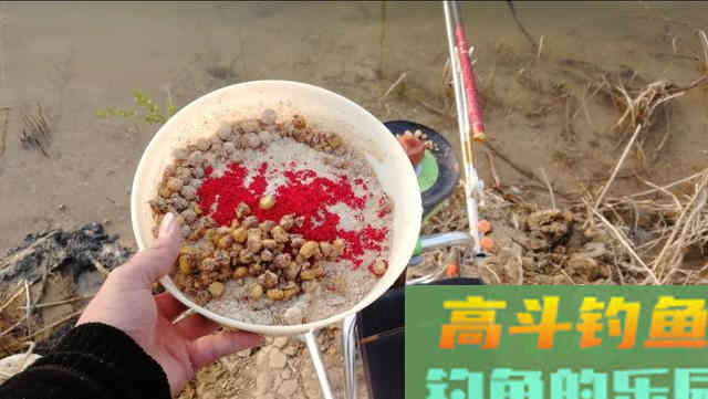 掌握这六大钓鲤技巧，外出垂钓再也不空军