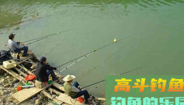春末夏初，在河流如何钓白鲦