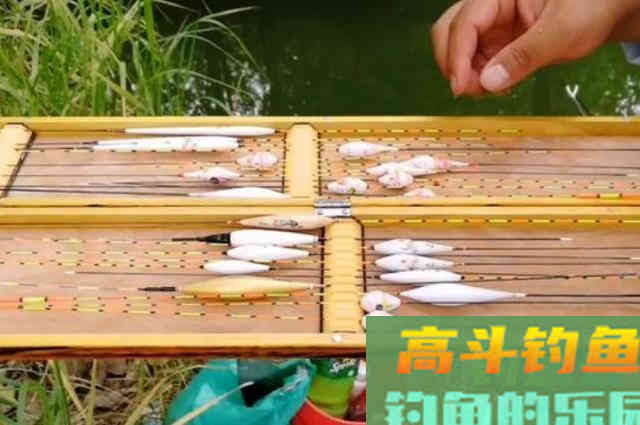长话短说,秋天我就只服这鲤鱼钓法 长话短说,秋天我就只服这鲤鱼钓法