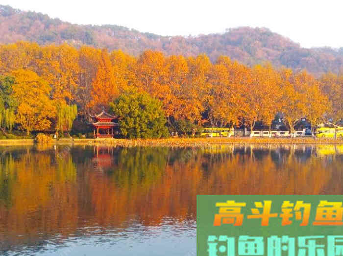 冬钓鲫鱼气温、温差与风力的影响,和鲫鱼的种种表现 冬钓鲫鱼气温、温差与风力的影响,和鲫鱼的种种表现