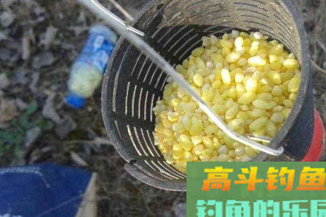 大板鲫不咬钩，只怪天气不好？老钓手都用这套钓法