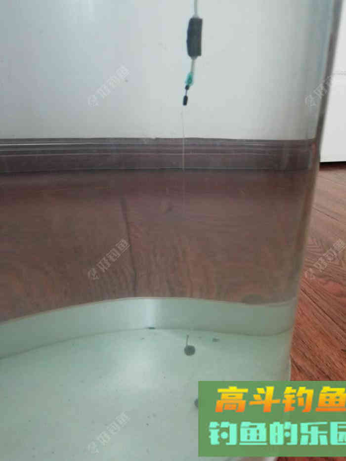 野钓策,野钓鲫鱼调与钓的几点感触 野钓策,野钓鲫鱼调与钓的几点感触