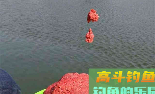 窝点鱼星泛滥,就是不咬钩,是什么原因 窝点鱼星泛滥,就是不咬钩,是什么原因