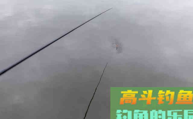 钓翘嘴的季节到了，牢记这6点，钓翘嘴比钓鲢鱼还简单