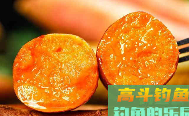 野钓：为什么鲤鱼比较难钓