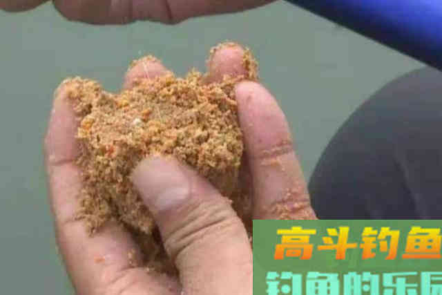 没试过这套鲢鳙钓法，你当然只想用海竿