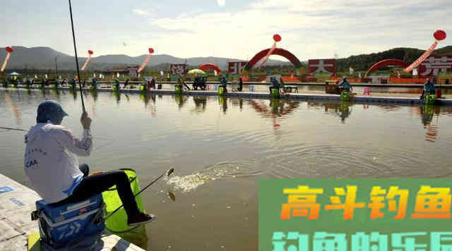 垂钓鲫鱼和鲤鱼，在钓法、钓饵等方面的差异